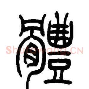 体