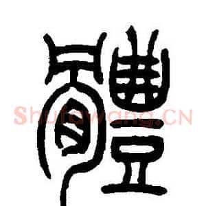 體