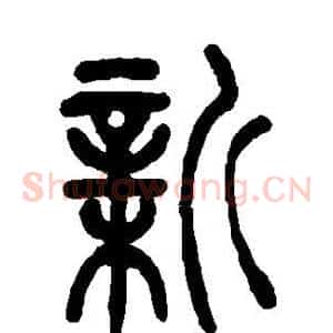 新
