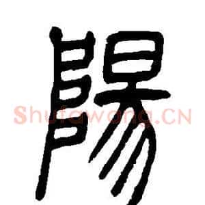 阳