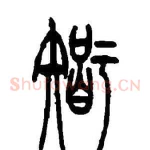 智