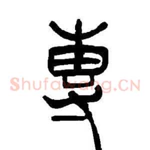 专
