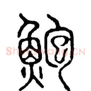 鲍