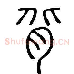背