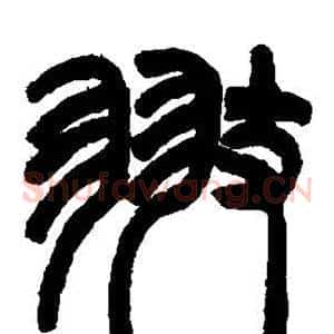 翅