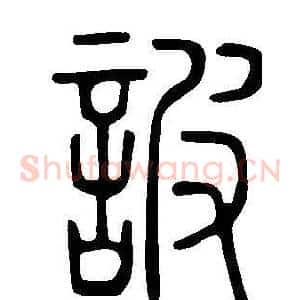 詖