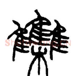 集
