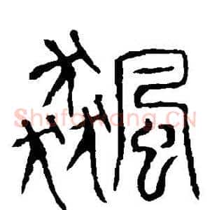 飙