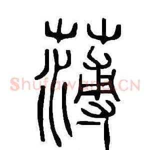 薄
