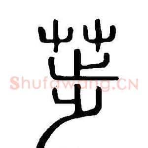 荹