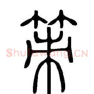 策