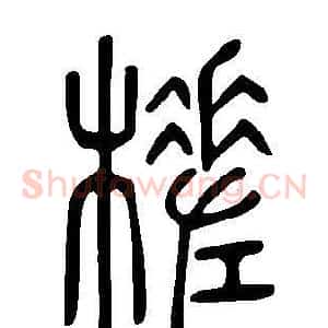 槎