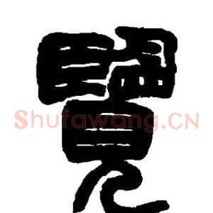 览