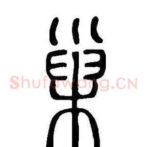 巢