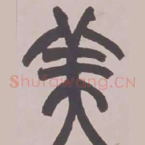 美
