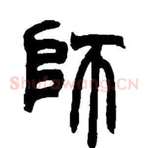 师