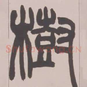 樹