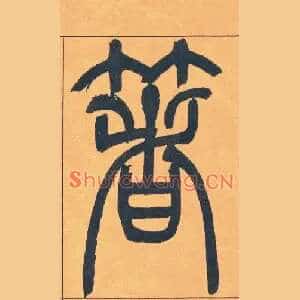箸