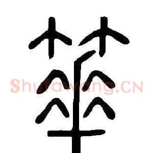 箠