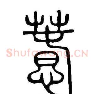 惷