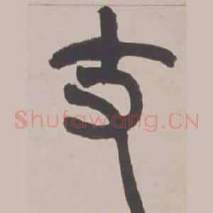 支