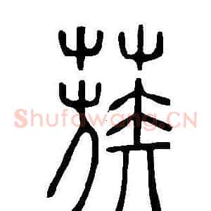蔟