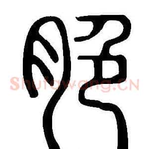 脃