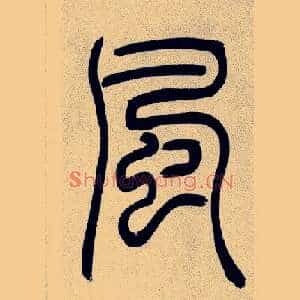 風