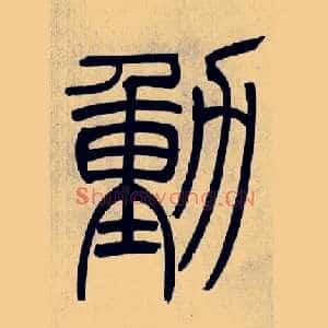 動