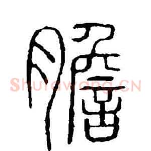 胆