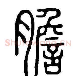 膽