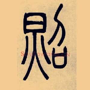 照