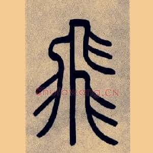 飛