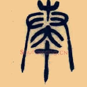 奏