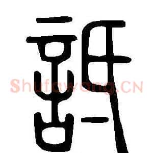 詆