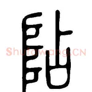 阽