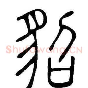貂