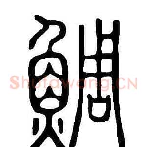 鯛