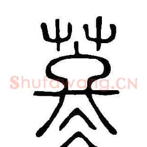 苳