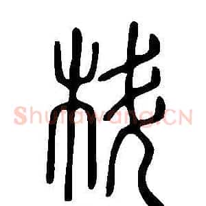 枓