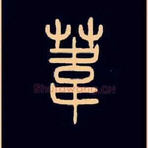 葦