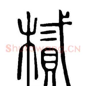 樲