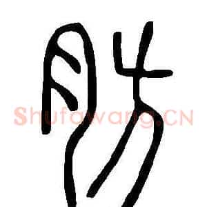 肪