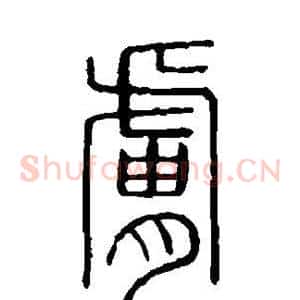 肤