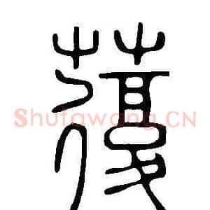 蕧