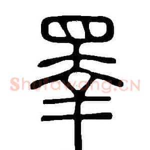 睪