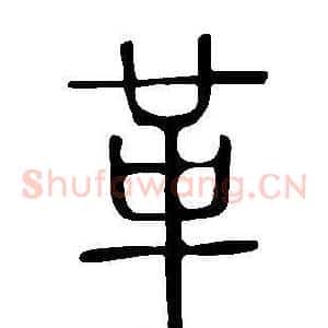 革