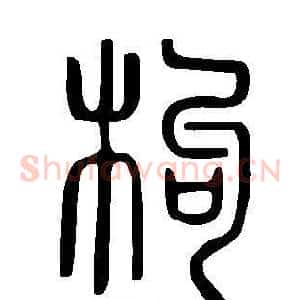 枸