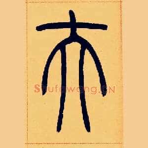 夫