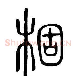 棝
